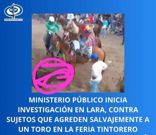 Fiscalía investiga caso de maltrato animal en Ferias de Tintorero
